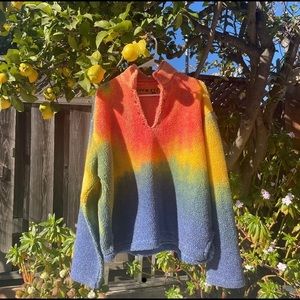 cactus plant flea market rainbow fleece